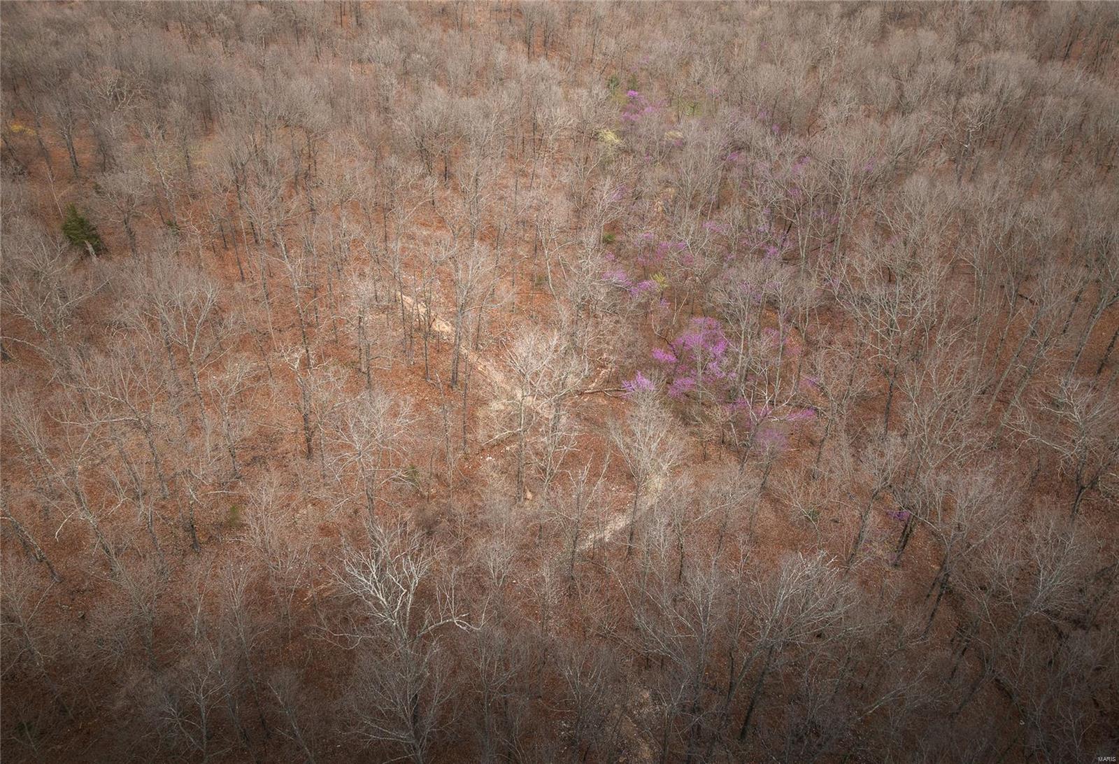 1608 Highway 64 Tunas, MO 65764 - Photo 66 of 80