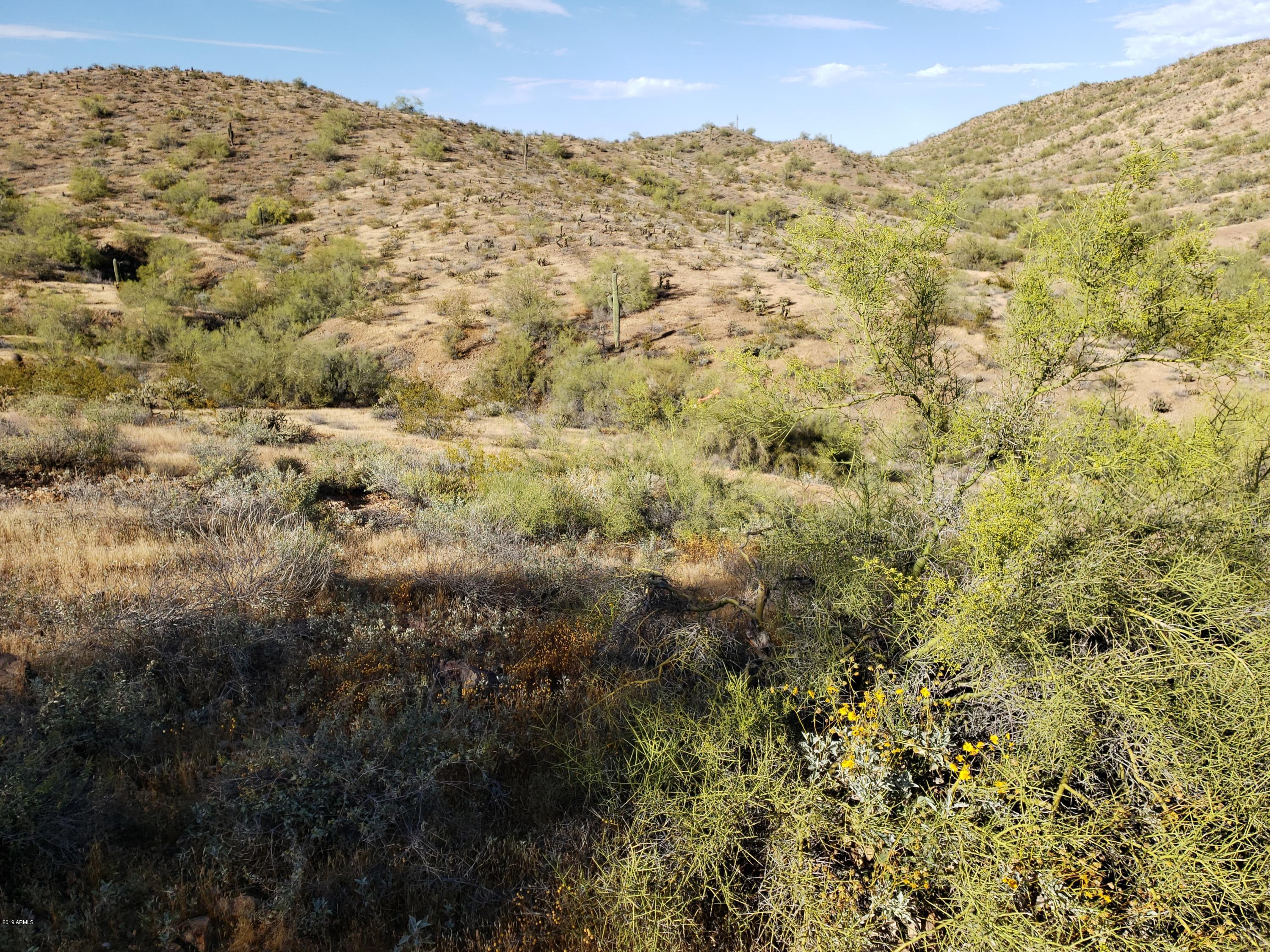 303 East Jomax Road Phoenix, AZ 85085 - Photo 5 of 16 preserve view
