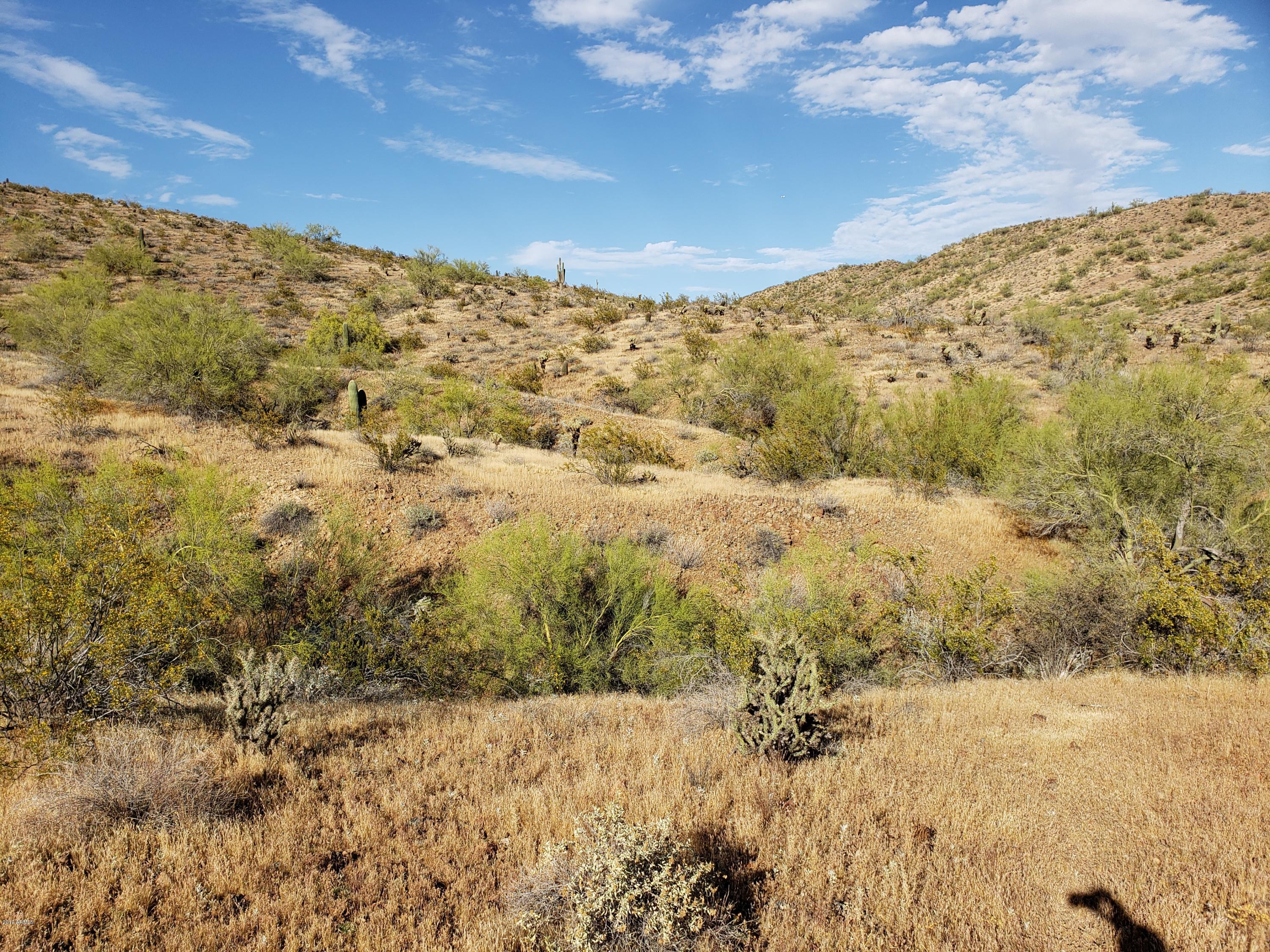 303 East Jomax Road Phoenix, AZ 85085 - Photo 6 of 16 preserve view 2