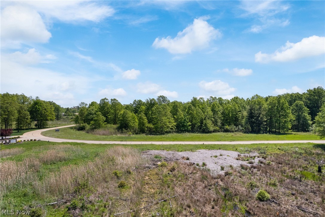 Clemens Road Westlake, OH 44145 - Photo 8 of 19