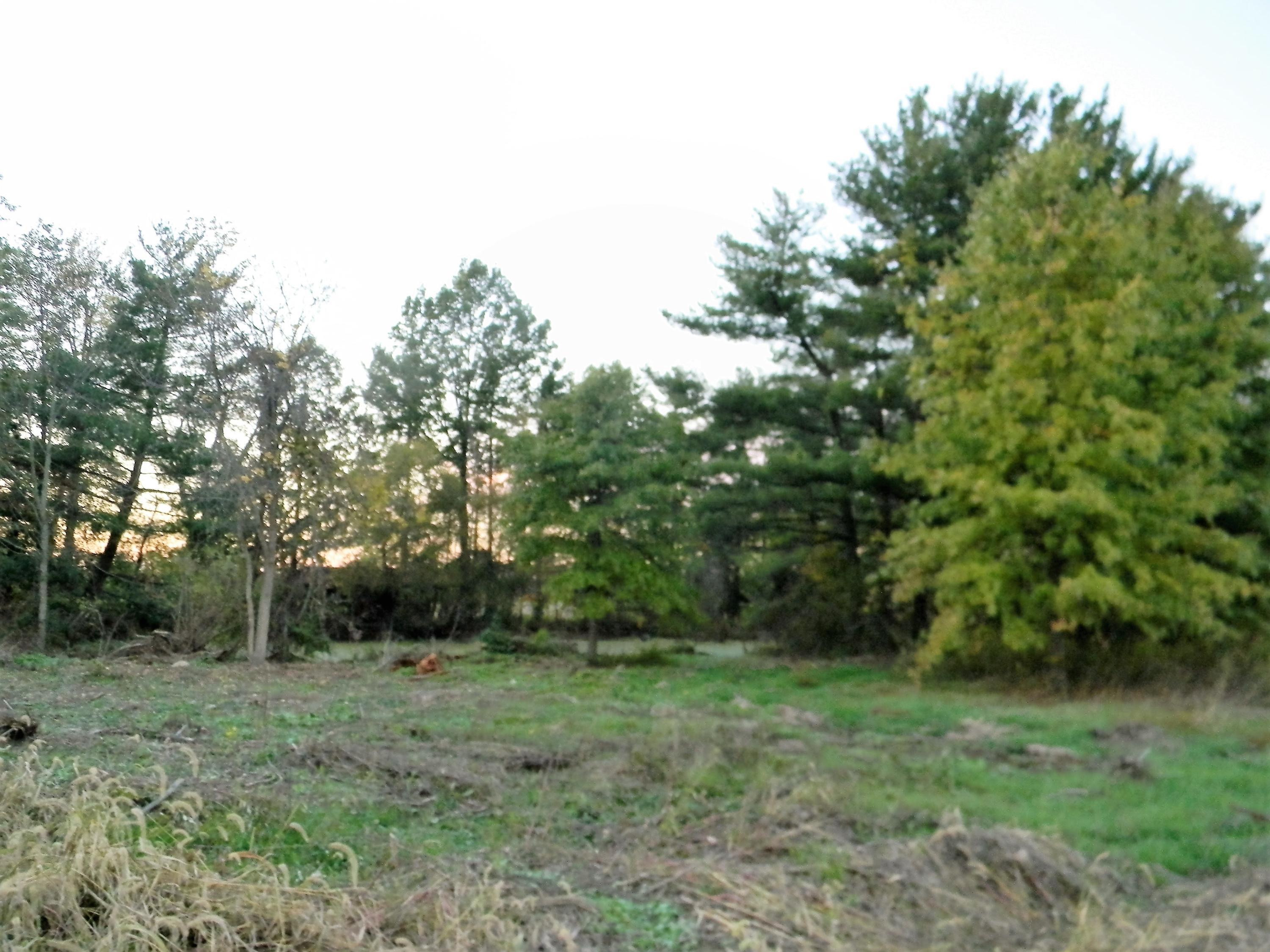7041 Kilbourne Road Sunbury, OH 43074 - Photo 9 of 11 Gallery Image 9