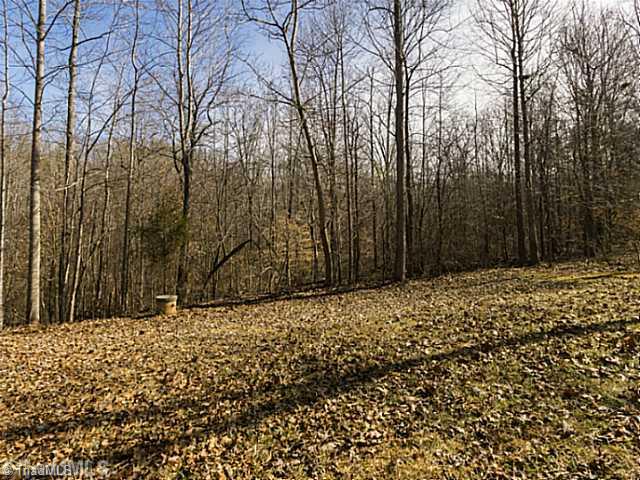 5507 John Washington Road Browns Summit, NC 27214 - Photo 15 of 16 Yard/Garden.