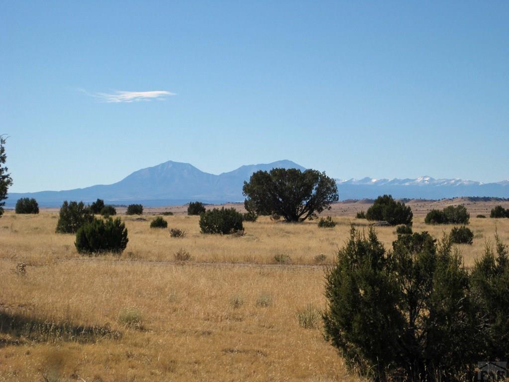 Lot 101 Turkey Ridge Ranch Walsenburg, CO 81089 - Photo 7 of 47