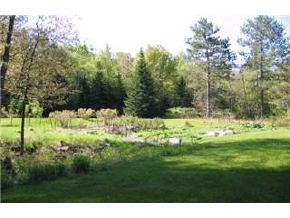 519 County Road New London, NH 03257 - Photo 4 of 8