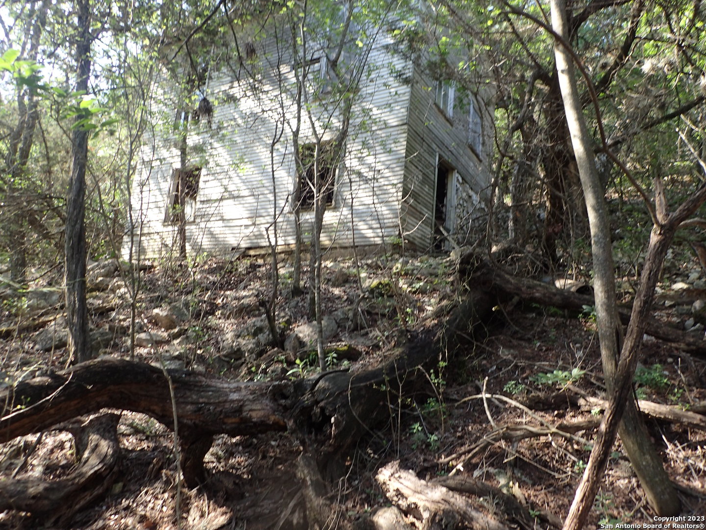 5 Beach Drive Mico, TX 78056 - Photo 3 of 4 a view of a tree