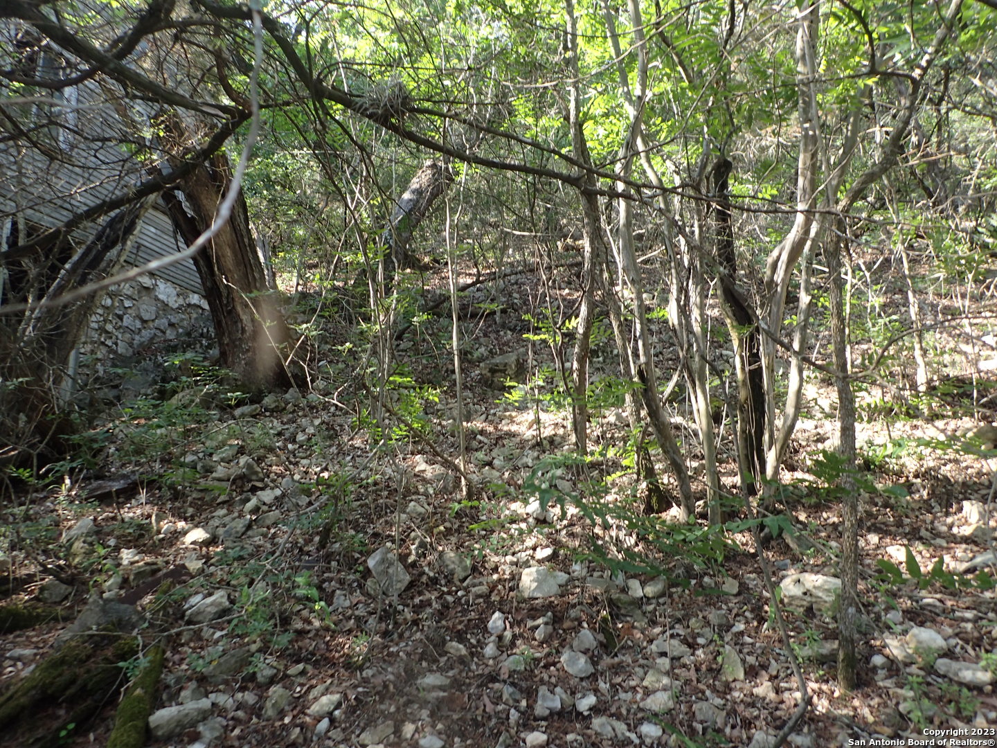 5 Beach Drive Mico, TX 78056 - Photo 4 of 4 a backyard of a house with lots of plants and large trees