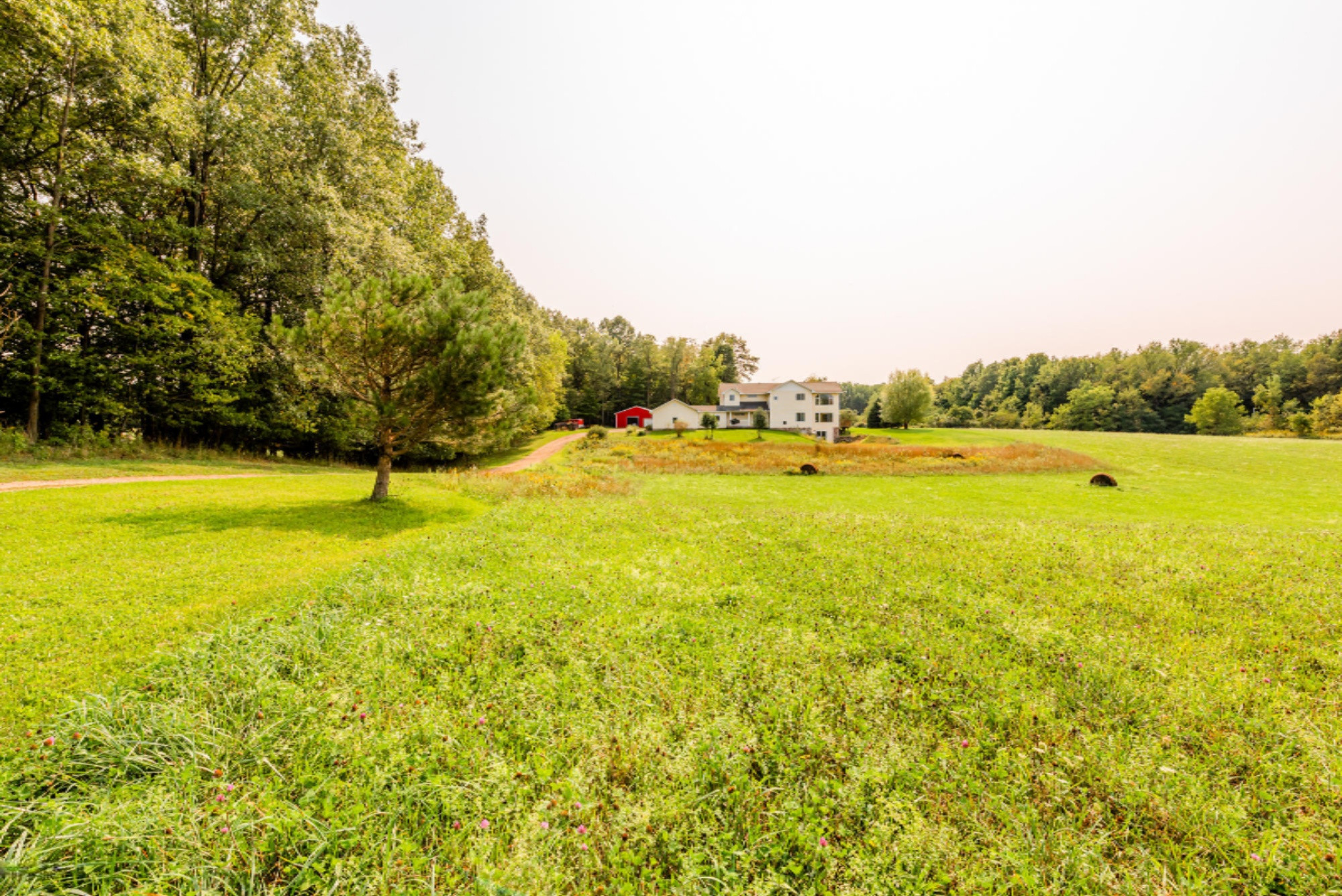 2060 Grange Road Buchanan, MI 49107 - Photo 46 of 49 Grange-302