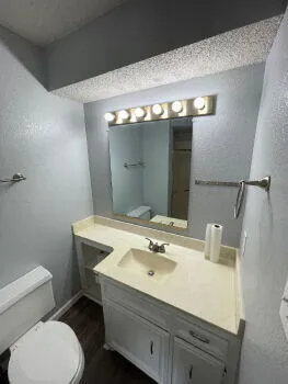 a bathroom with a sink toilet and mirror