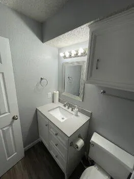 a bathroom with a toilet sink and mirror