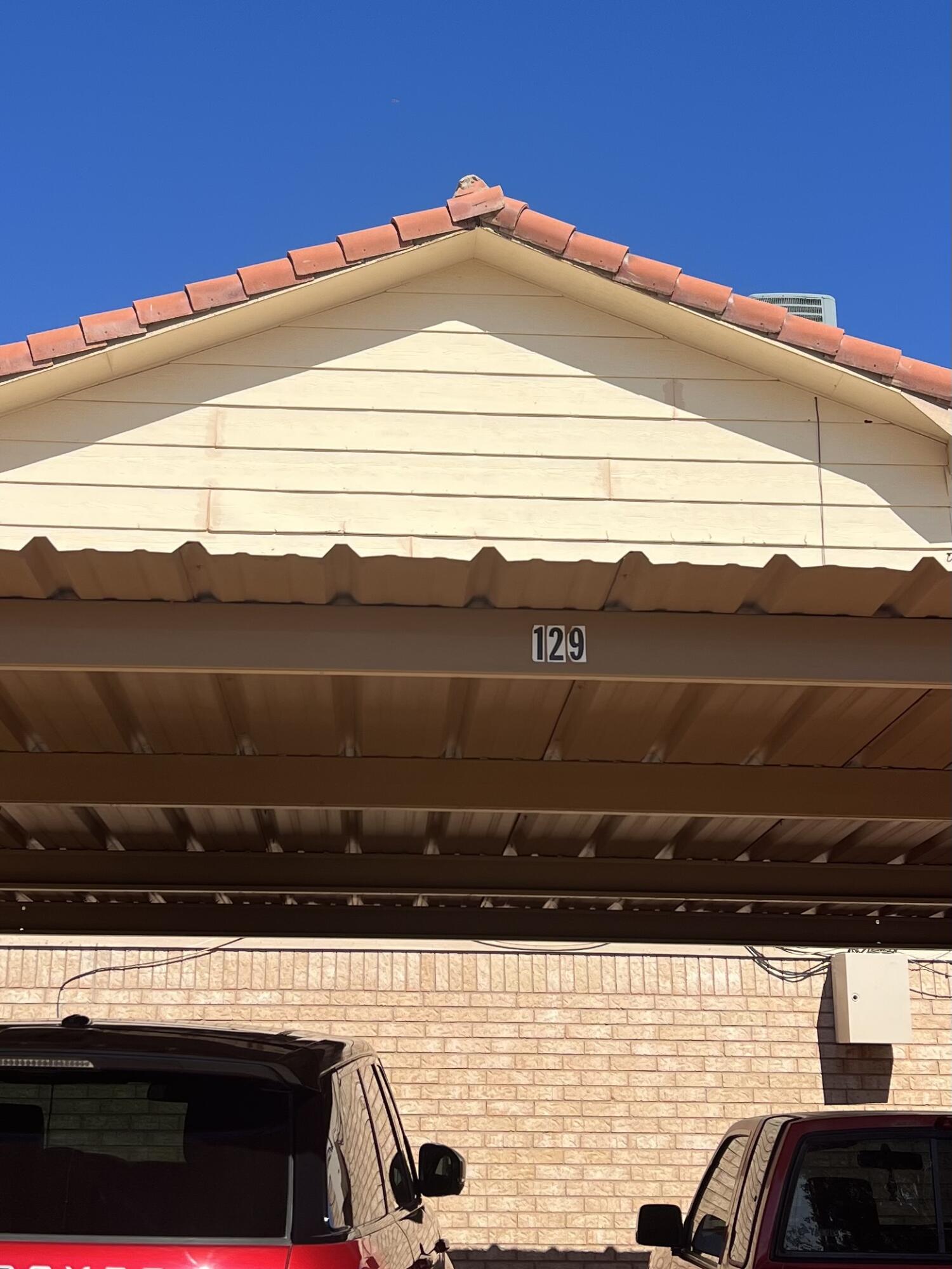 129 Troy Avenue Lubbock, TX 79416 - Photo 18 of 18 129 N Troy Carprt IMG_9457