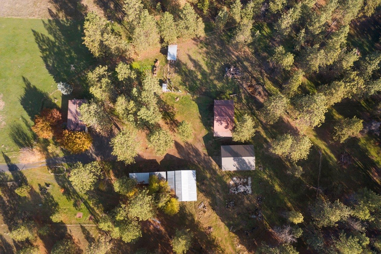 28310 North Bruce Road Chattaroy, WA 99003 - Photo 7 of 21