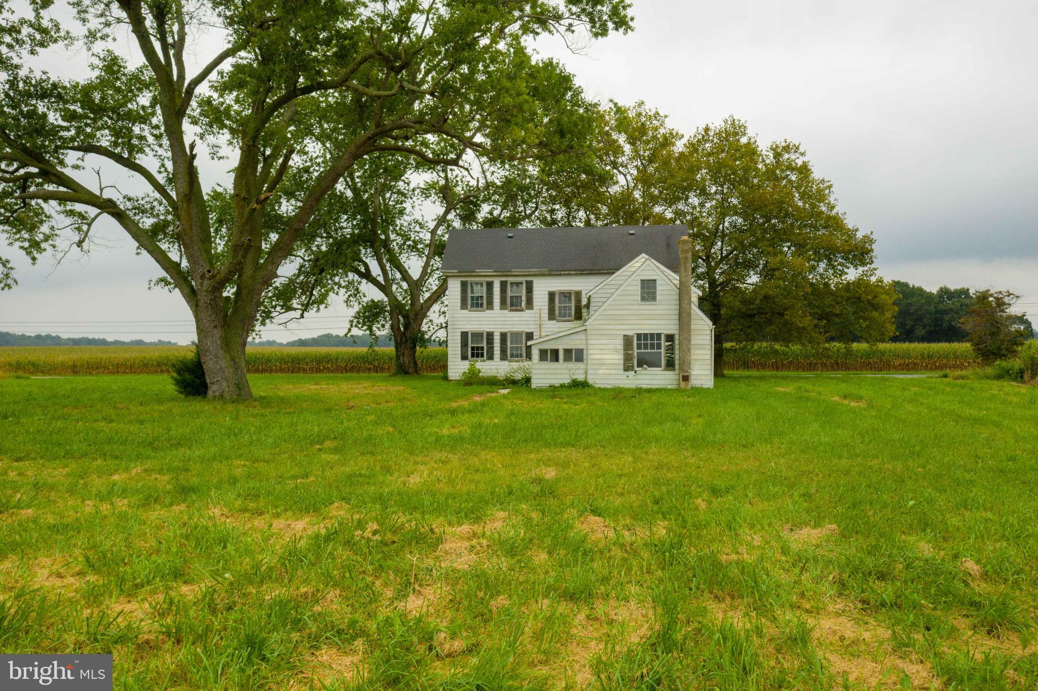 9380 New Bridge Road Denton, MD 21629 - Photo 2 of 25 Gallery Image 2
