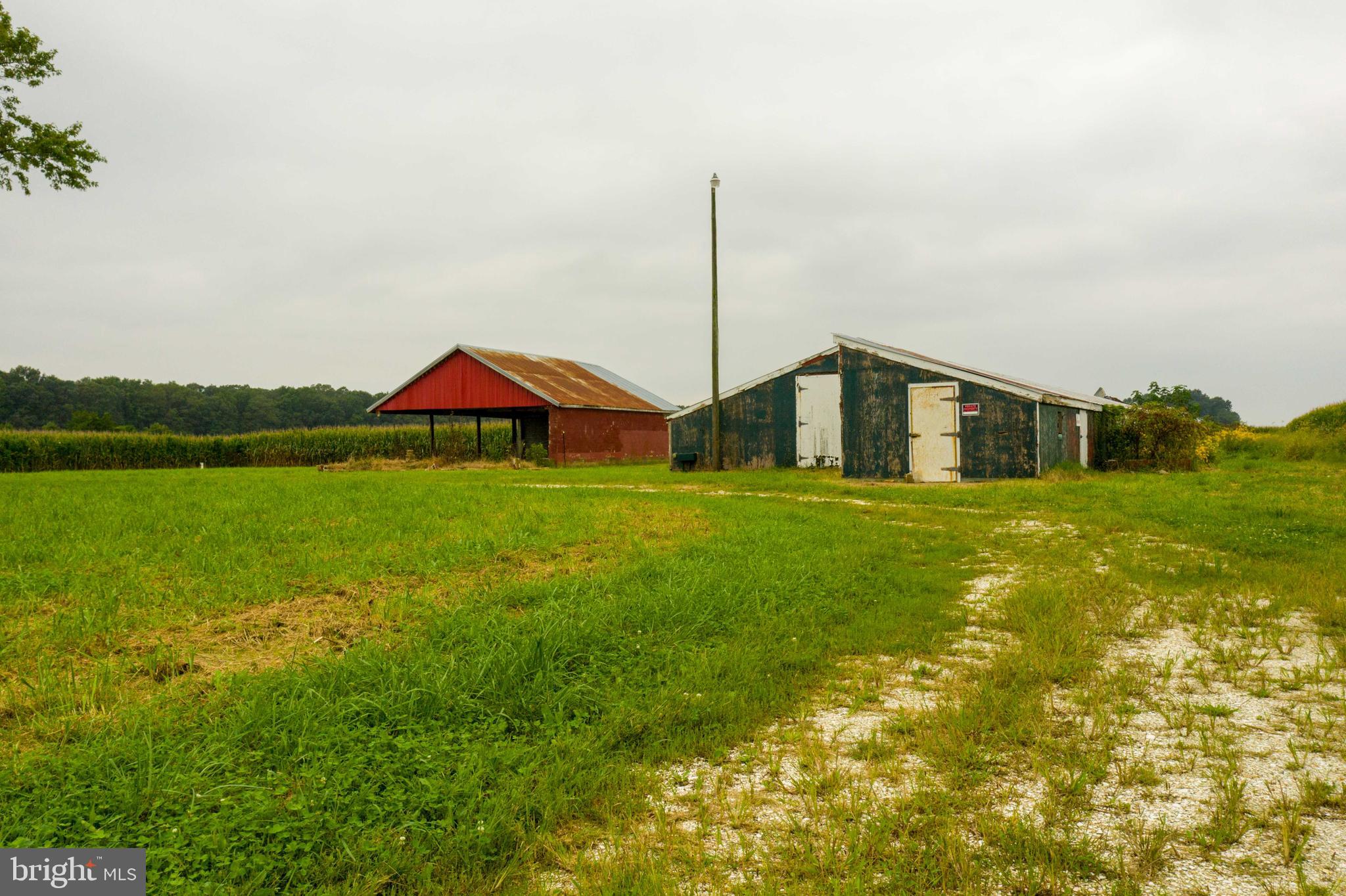 9380 New Bridge Road Denton, MD 21629 - Photo 4 of 25 Gallery Image 4
