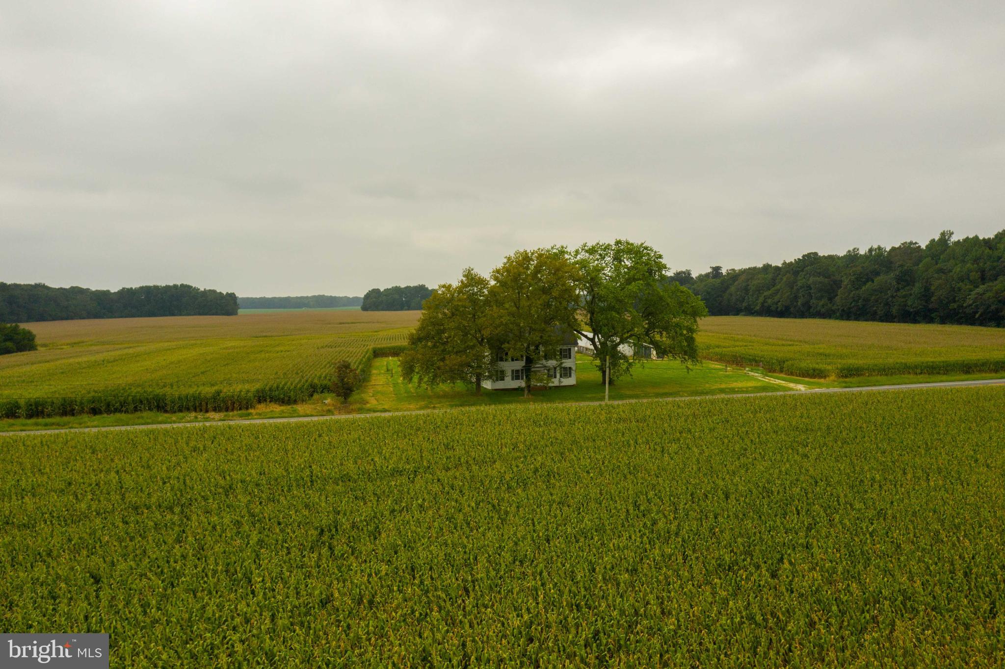 9380 New Bridge Road Denton, MD 21629 - Photo 9 of 25 Gallery Image 9