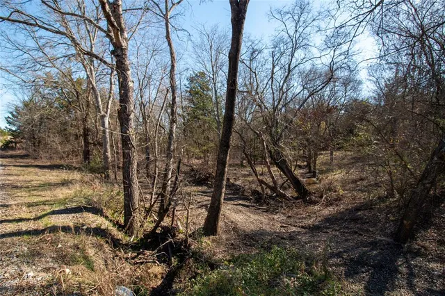 $83,000 | Lot 3 County Road 2905, Dodd City, TX 75438