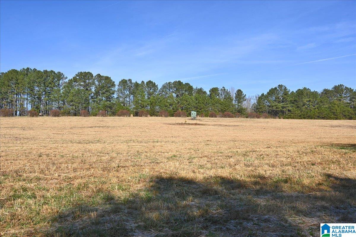 651 Old Hickory Road, Unit 15 ACRES Warrior, AL 35180 - Photo 3 of 13