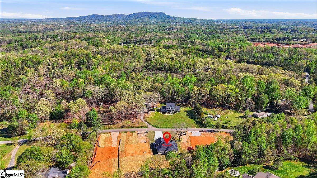 117 Jamison Road Travelers Rest, SC 29690 - Photo 36 of 37