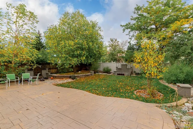 a view of a garden with plants and trees
