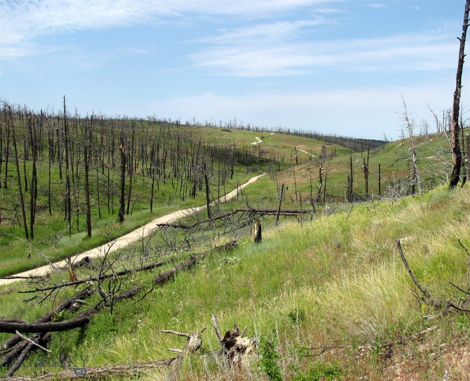 Tbd Buckskin Road, Unit ML4 Roundup, MT 59072 - Photo 1 of 1 Gallery Image 1