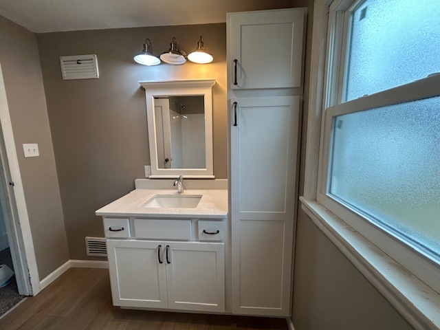 4715 50th Avenue Moline, IL 61265 - Photo 16 of 22 a bathroom with a sink and a mirror