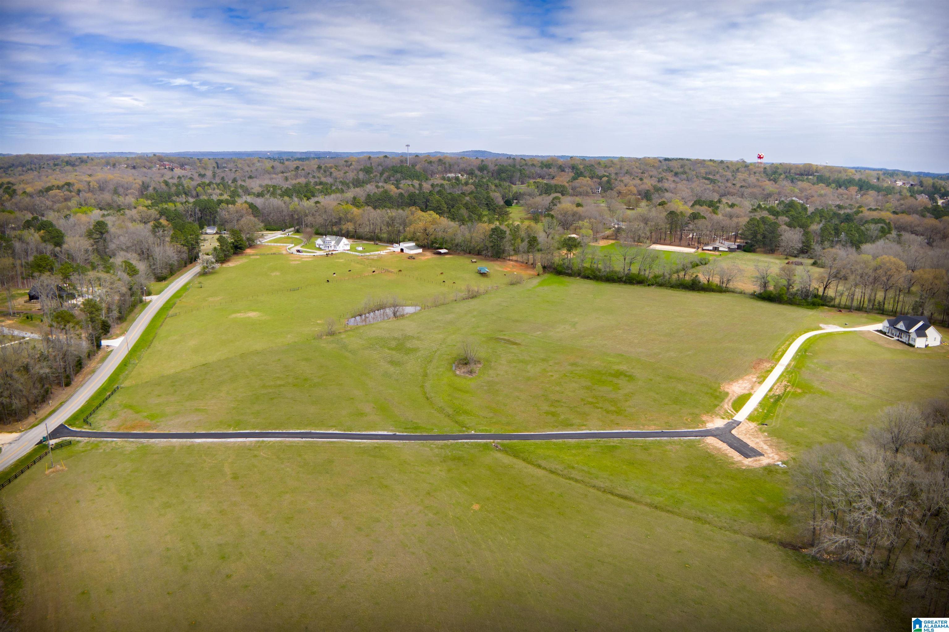 850 County Road 24, Unit 1B Montevallo, AL 35115 - Photo 7 of 24