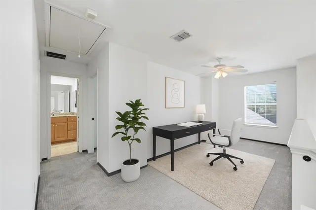 a living room with furniture and potted plants