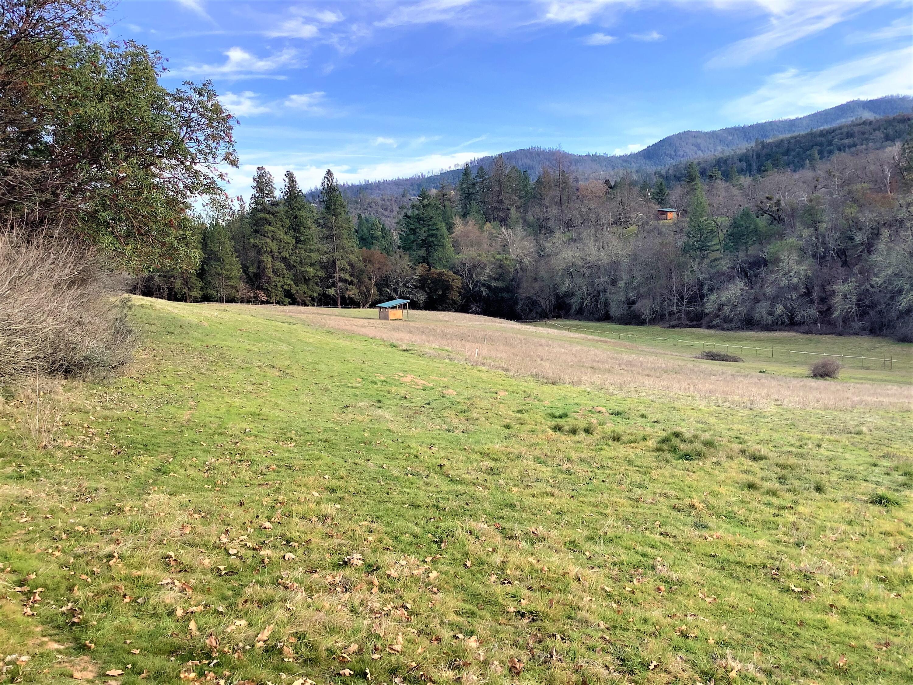 7017 Dark Hollow Road Medford, OR 97501 - Photo 60 of 74 7017 back pasture