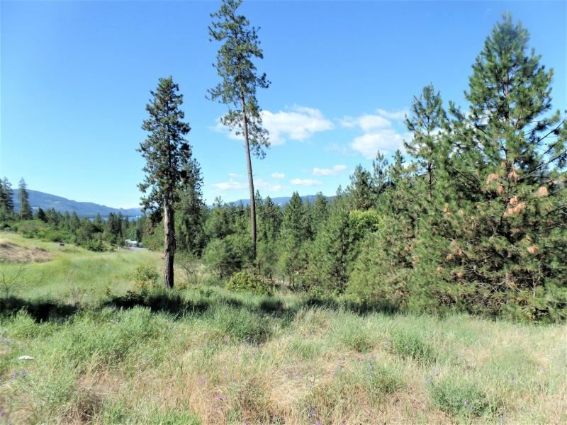 Lot #a Peachcrest Road Kettle Falls, WA 99141 - Photo 1 of 14 Gallery Image 1