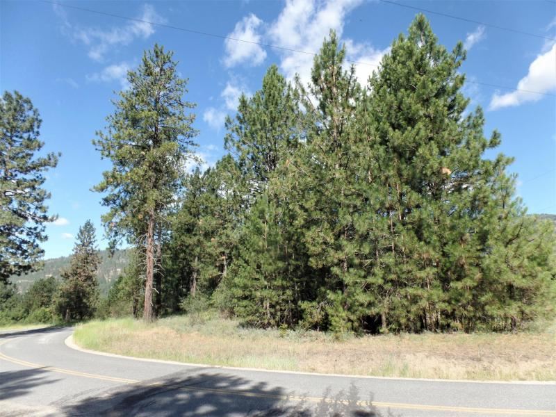 Lot #a Peachcrest Road Kettle Falls, WA 99141 - Photo 2 of 14 Gallery Image 2