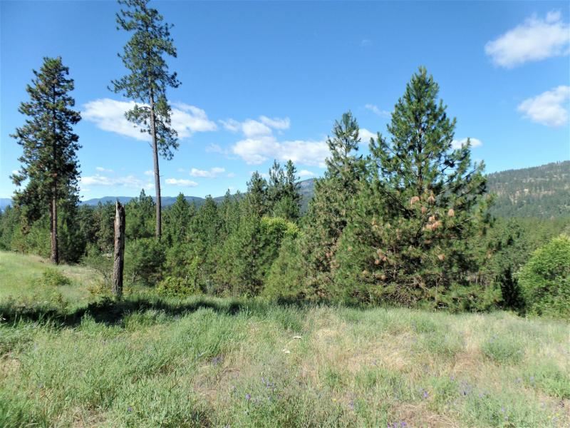 Lot #a Peachcrest Road Kettle Falls, WA 99141 - Photo 11 of 14 Gallery Image 11