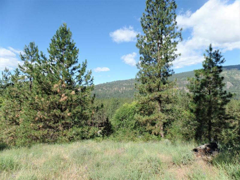 Lot #a Peachcrest Road Kettle Falls, WA 99141 - Photo 12 of 14 Gallery Image 12
