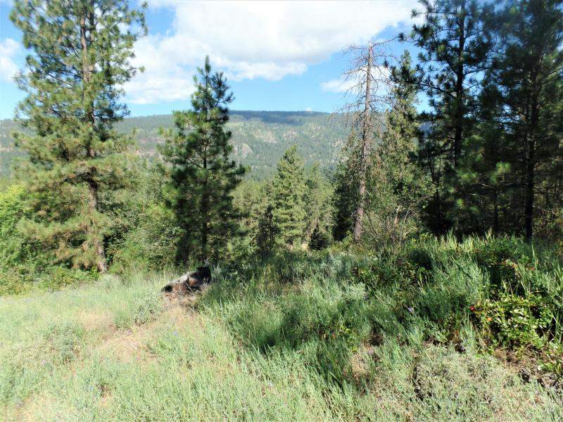 Lot #a Peachcrest Road Kettle Falls, WA 99141 - Photo 13 of 14 Gallery Image 13