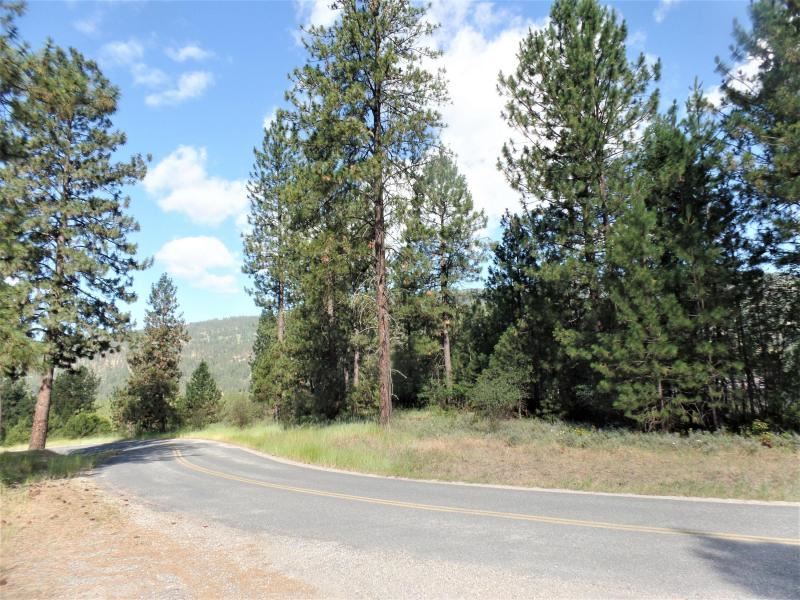 Lot #a Peachcrest Road Kettle Falls, WA 99141 - Photo 14 of 14 Gallery Image 14