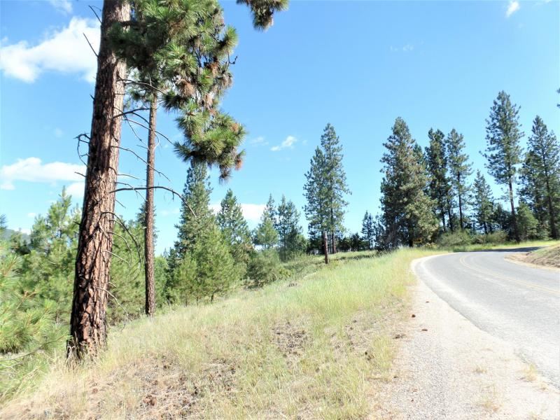 Lot #a Peachcrest Road Kettle Falls, WA 99141 - Photo 3 of 14 Gallery Image 3