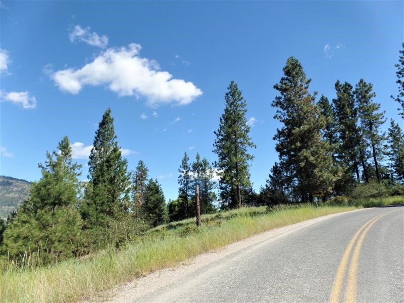 Lot #a Peachcrest Road Kettle Falls, WA 99141 - Photo 4 of 14 Gallery Image 4