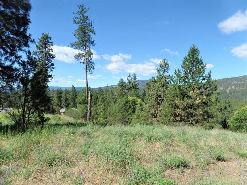 Lot #a Peachcrest Road Kettle Falls, WA 99141 - Photo 5 of 14 Gallery Image 5