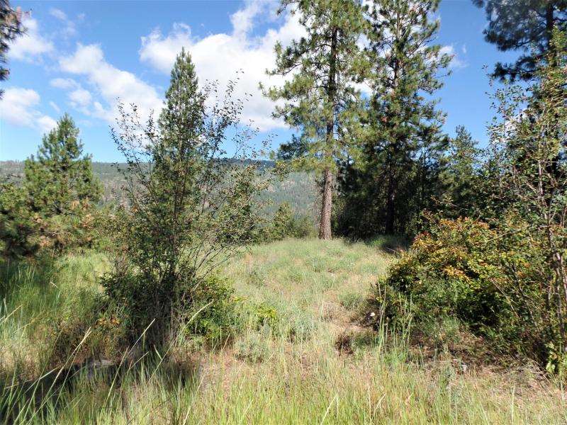 Lot #a Peachcrest Road Kettle Falls, WA 99141 - Photo 6 of 14 Gallery Image 6