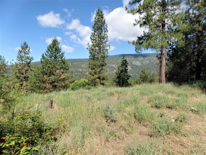 Lot #a Peachcrest Road Kettle Falls, WA 99141 - Photo 7 of 14 Gallery Image 7