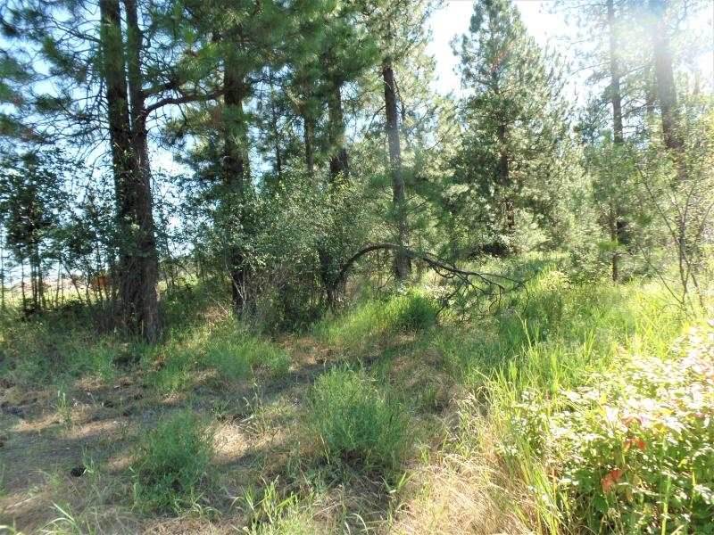 Lot #a Peachcrest Road Kettle Falls, WA 99141 - Photo 8 of 14 Gallery Image 8