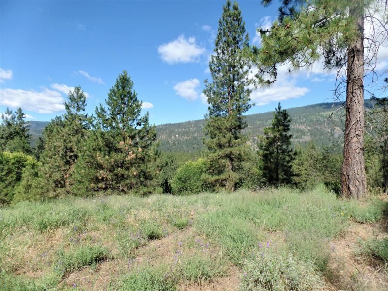Lot #a Peachcrest Road Kettle Falls, WA 99141 - Photo 9 of 14 Gallery Image 9