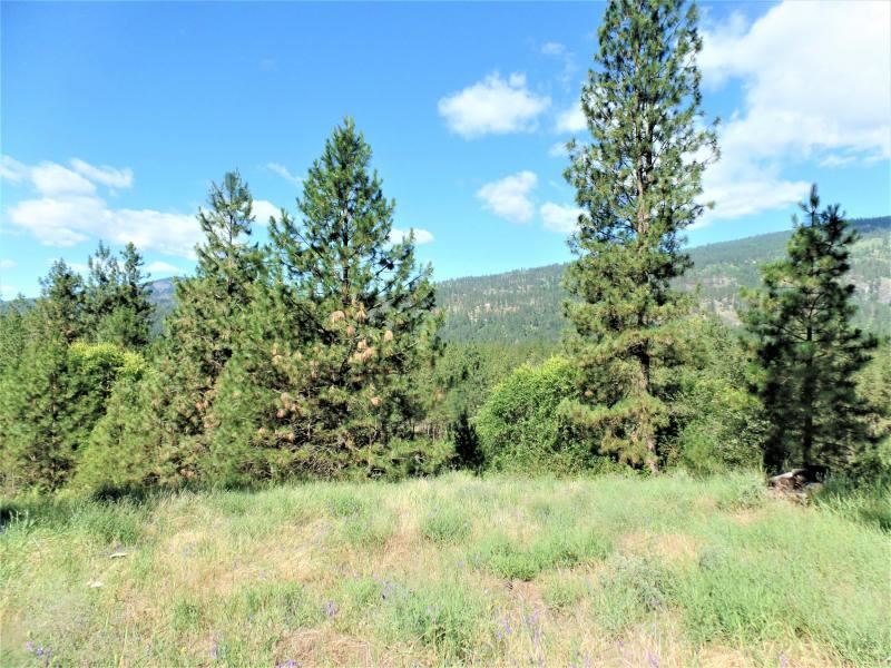 Lot #a Peachcrest Road Kettle Falls, WA 99141 - Photo 10 of 14 Gallery Image 10