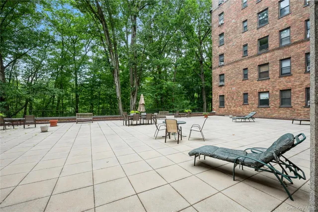 a view of a terrace with chairs and a potted plant
