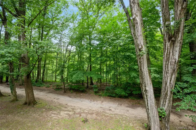 a view of backyard with green space