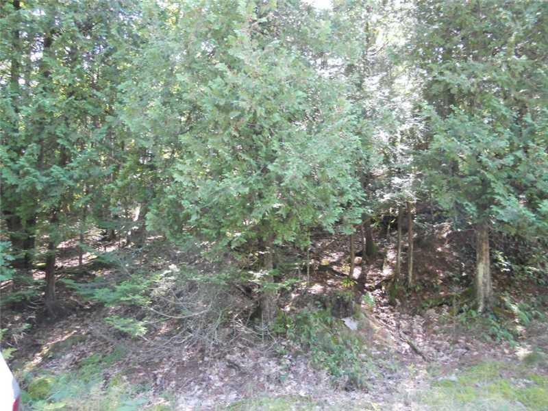 002 Rt 139 Main Street Monroe, ME 04951 - Photo 2 of 3 Land.