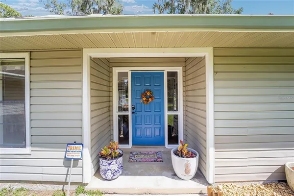 a view of a door of the house with a potted plant