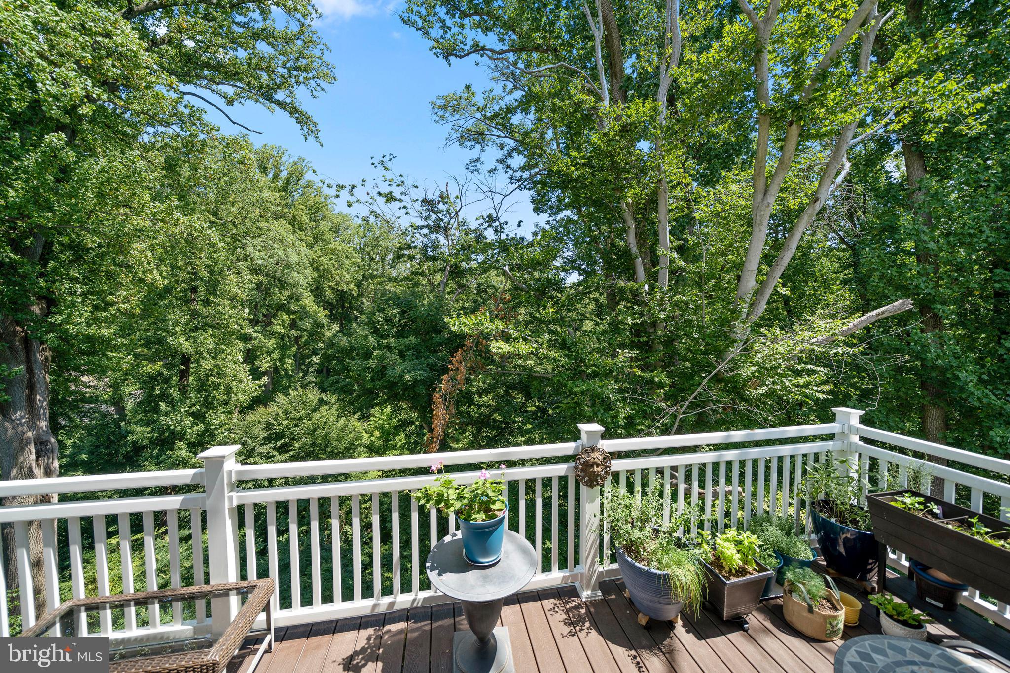 301 Corvus Circle Springfield, PA 19064 - Photo 39 of 58