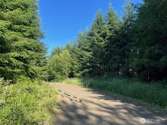 a view of a street view with a yard