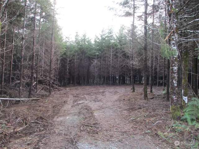 a view of outdoor space and trees