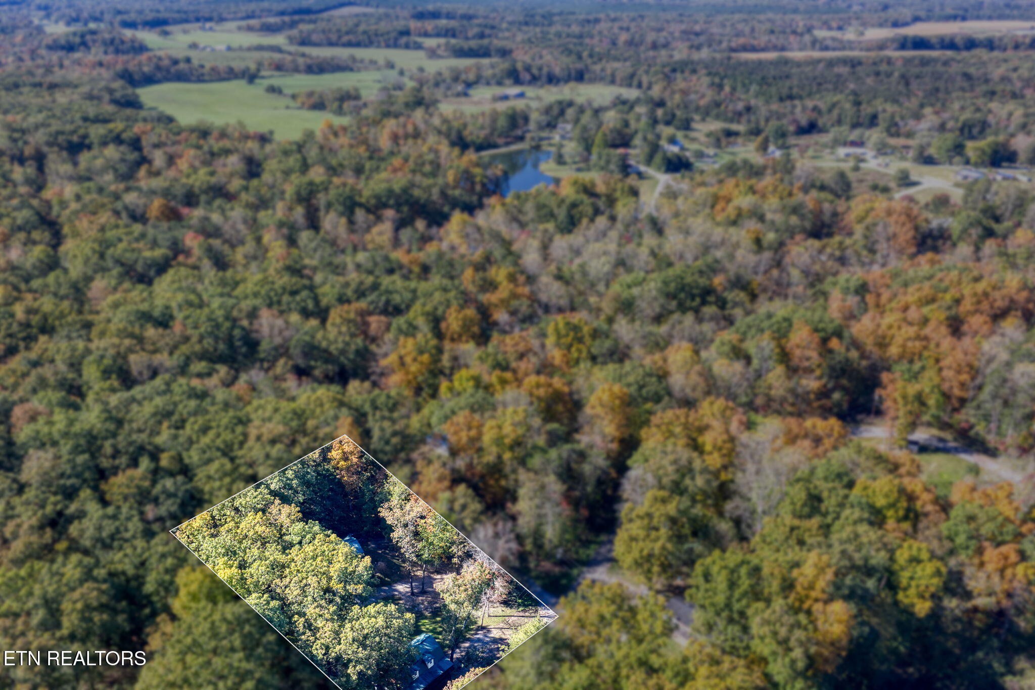 279 Siever Road Crossville, TN 38572 - Photo 31 of 35 a view of a forest with a forest