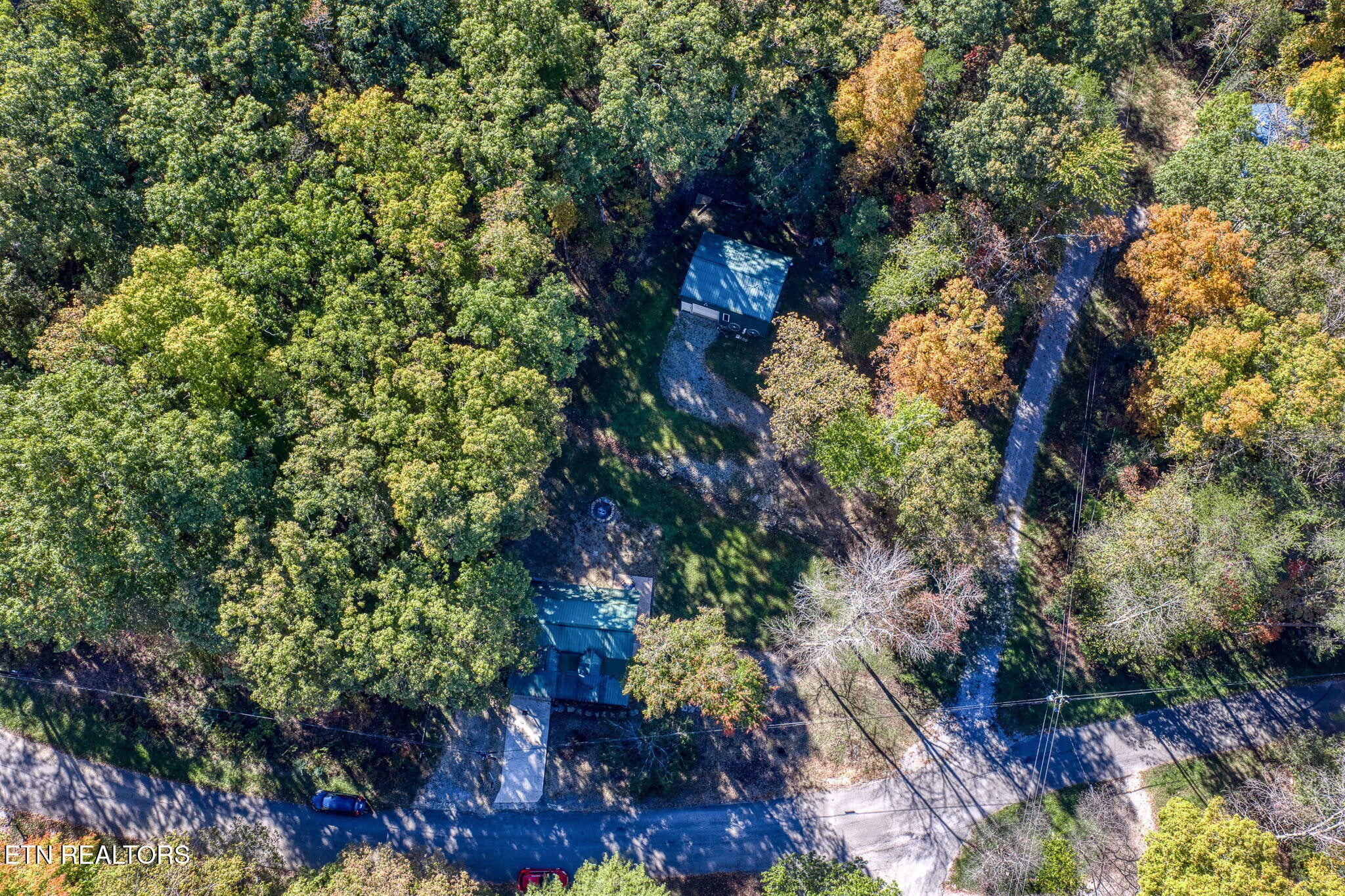 279 Siever Road Crossville, TN 38572 - Photo 35 of 35 a picture of flowers